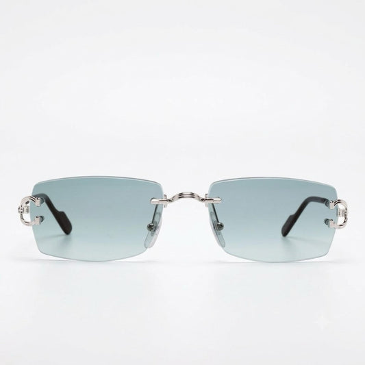 Signature C De Sunglasses